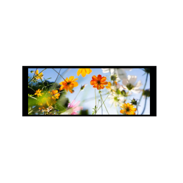 6,86 hüvelykes 480 × 1280 IPS TFT modul
